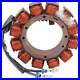 Stator-Enroule-Alternateur-Pour-Harley-Davidson-Touring-2002-2005-01-sml